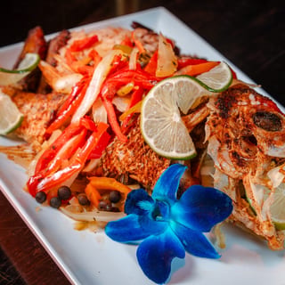 Snapper